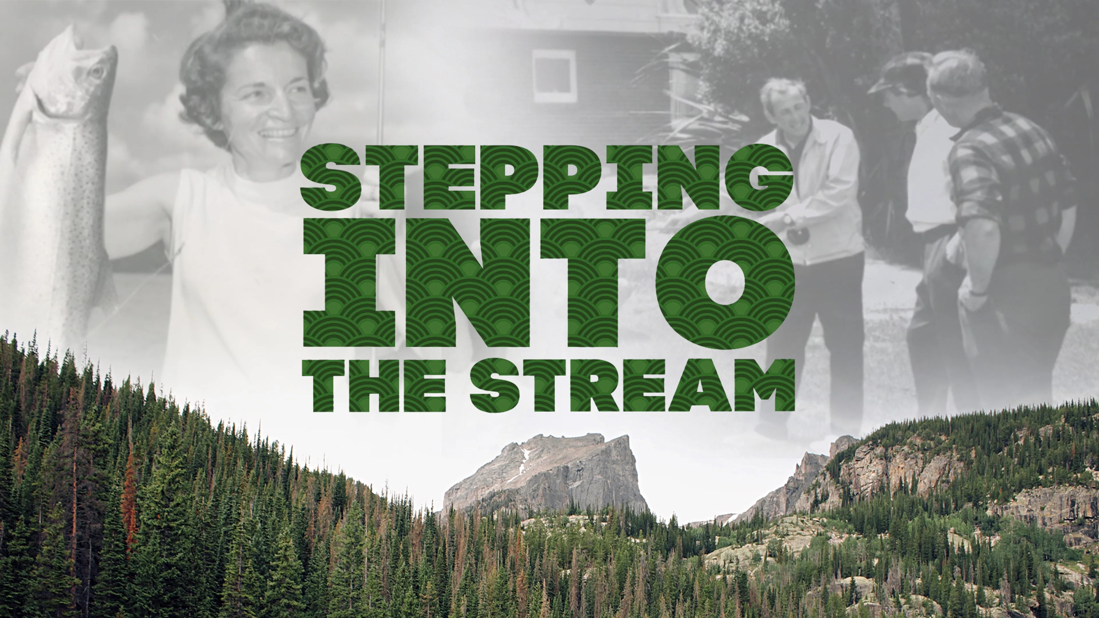 Stepping into the Stream poster